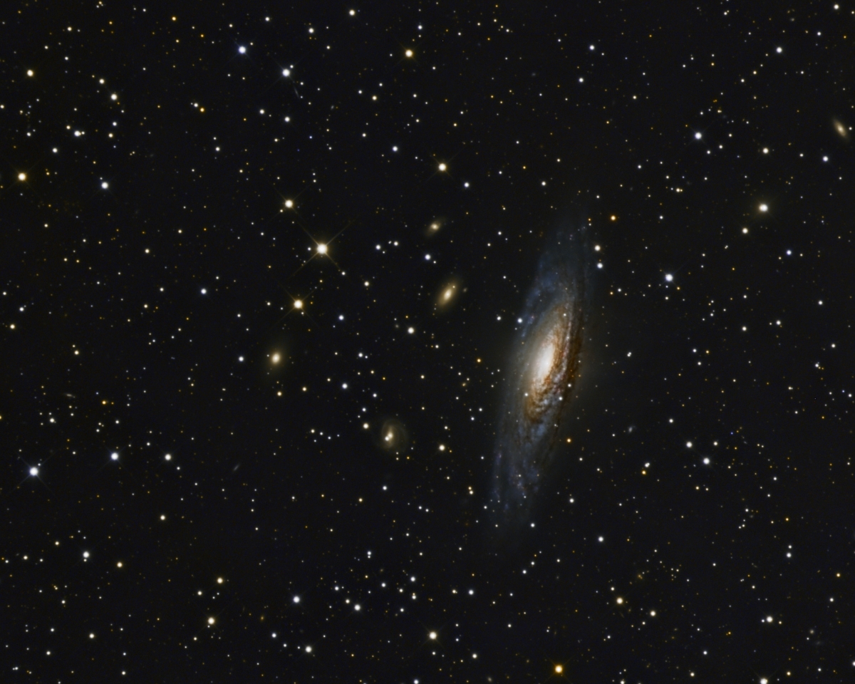 NGC7331 Peter Remmel@DSW   Kopie