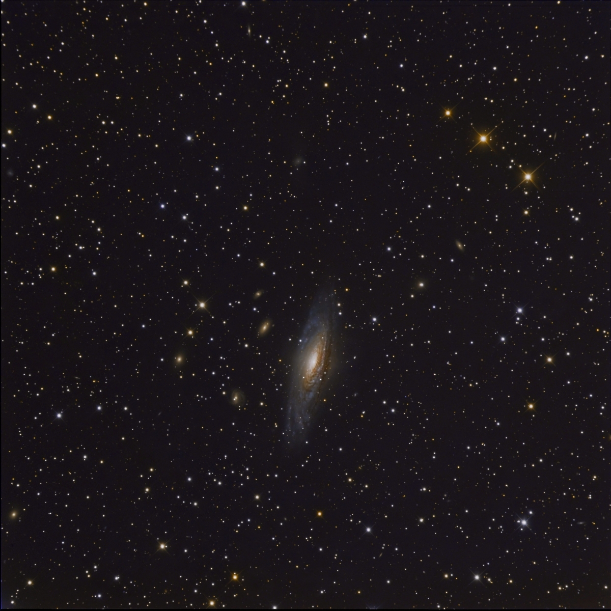 NGC7331 Peter Remmel@DSW newsave