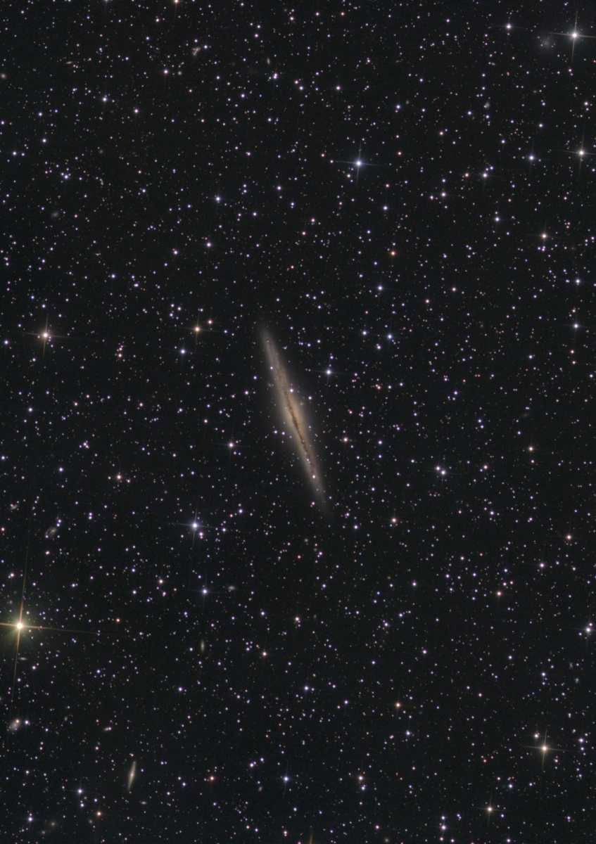 NGC891 LRGB 100 Probst