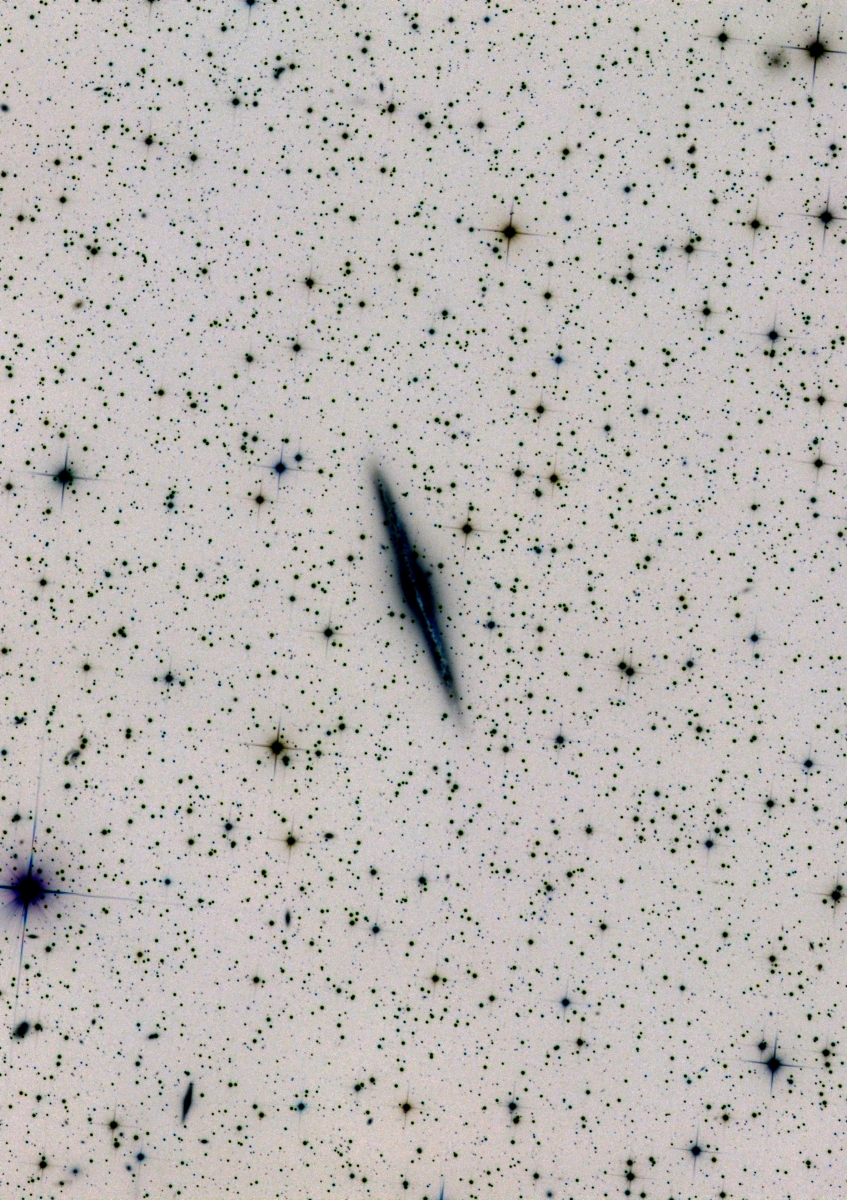 NGC891 LRGB 100 inv Probst