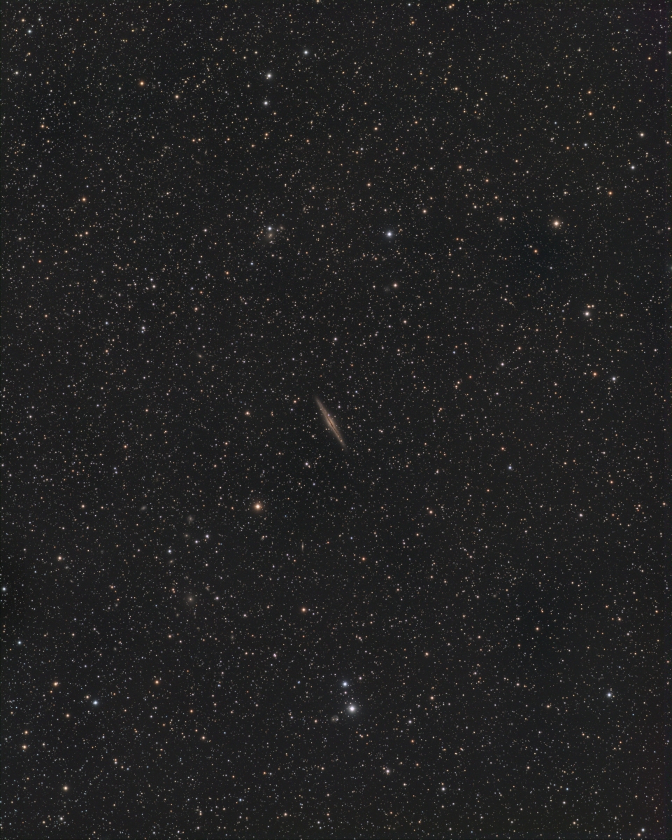 galaxis ngc891l 16200-2.jpg HorstZiegler 2