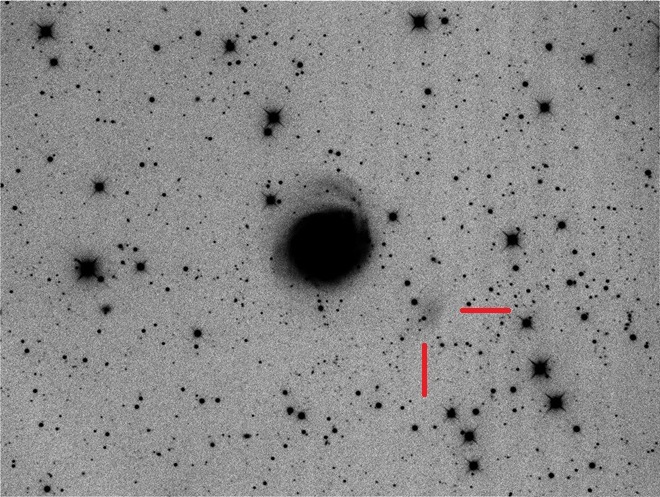 NGC3631-Elvov