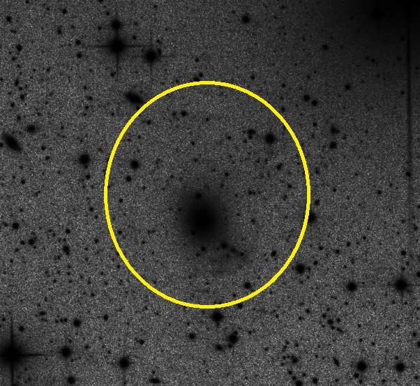 NGC5862 MB Marker-Zi frei  