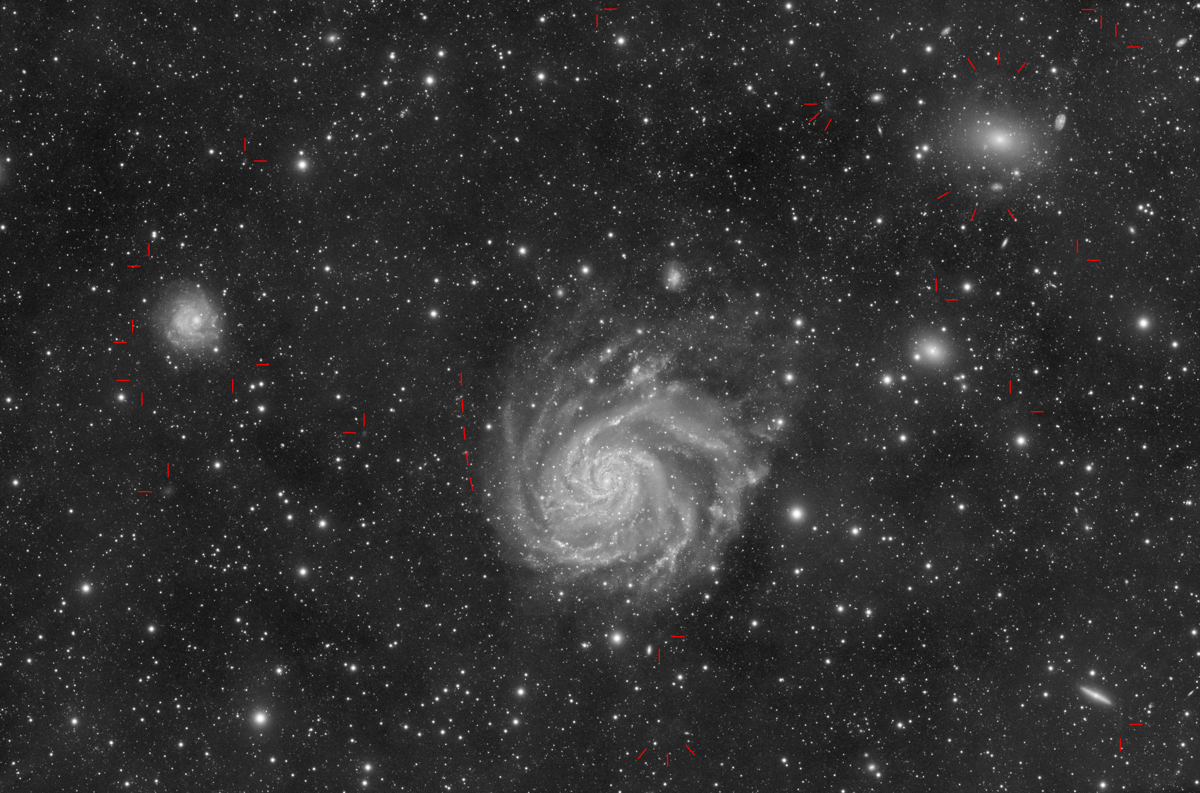 neyer-M101_features                